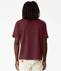 CV3010 Maroon Model