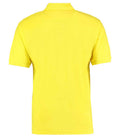 K403 Canary Back