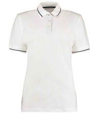 White/Navy