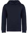 NS438 Navy Front