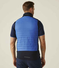 Strong Blue/Navy