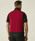 RG385 Classic Red/Black Model