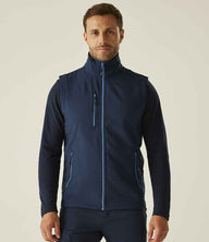 Navy/French Blue
